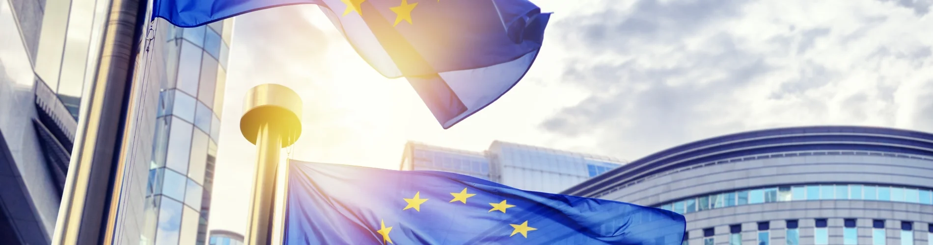 Politische Arbeit | EU | VDR Politische Arbeit | EU | VDR